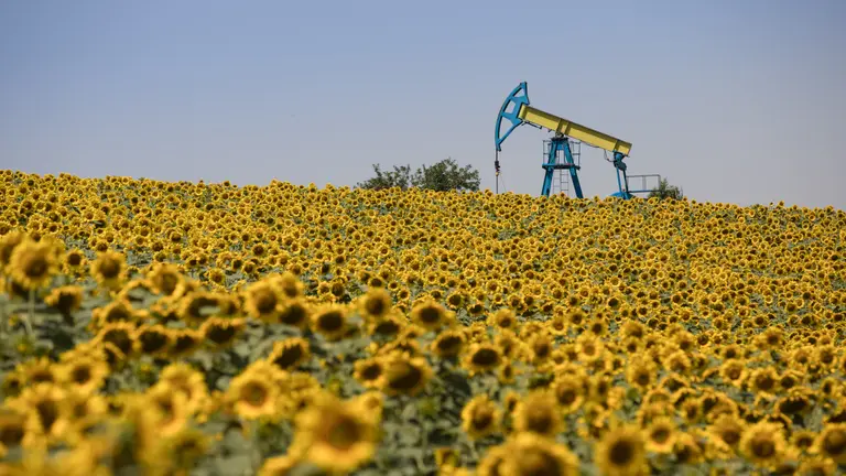 A yellow and blue oil well in the middle of a sunflower field with a clear, blue sky as background